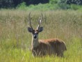 /album/fotogaleria-inicio/dscn8081-copia-jpg/